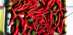 newtown chilli festival